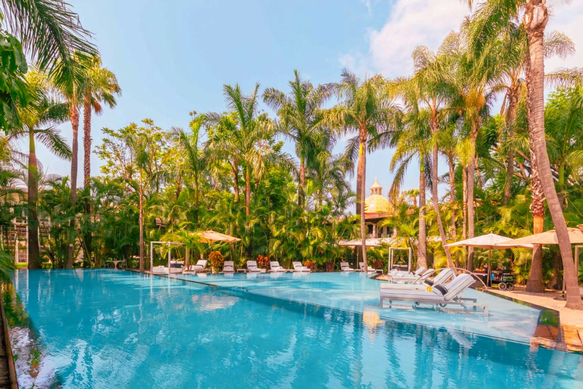 "Relájate en un oasis de lujo rodeado de palmeras y arquitectura elegante. Nuestros paquetes exclusivos en Cuernavaca te ofrecen albercas cristalinas, espacios diseñados para el descanso y la comodidad, y la experiencia de hospedarte en un entorno tropical sin salir de México. Vive la serenidad y el confort que mereces
